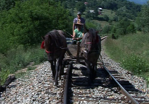 Calea ferata Viseu de Jos (c) eMM.ro